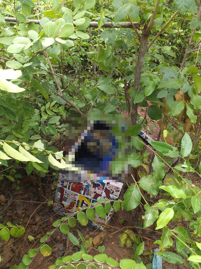 Caixote com corpo de mulher foi encontrado em mata